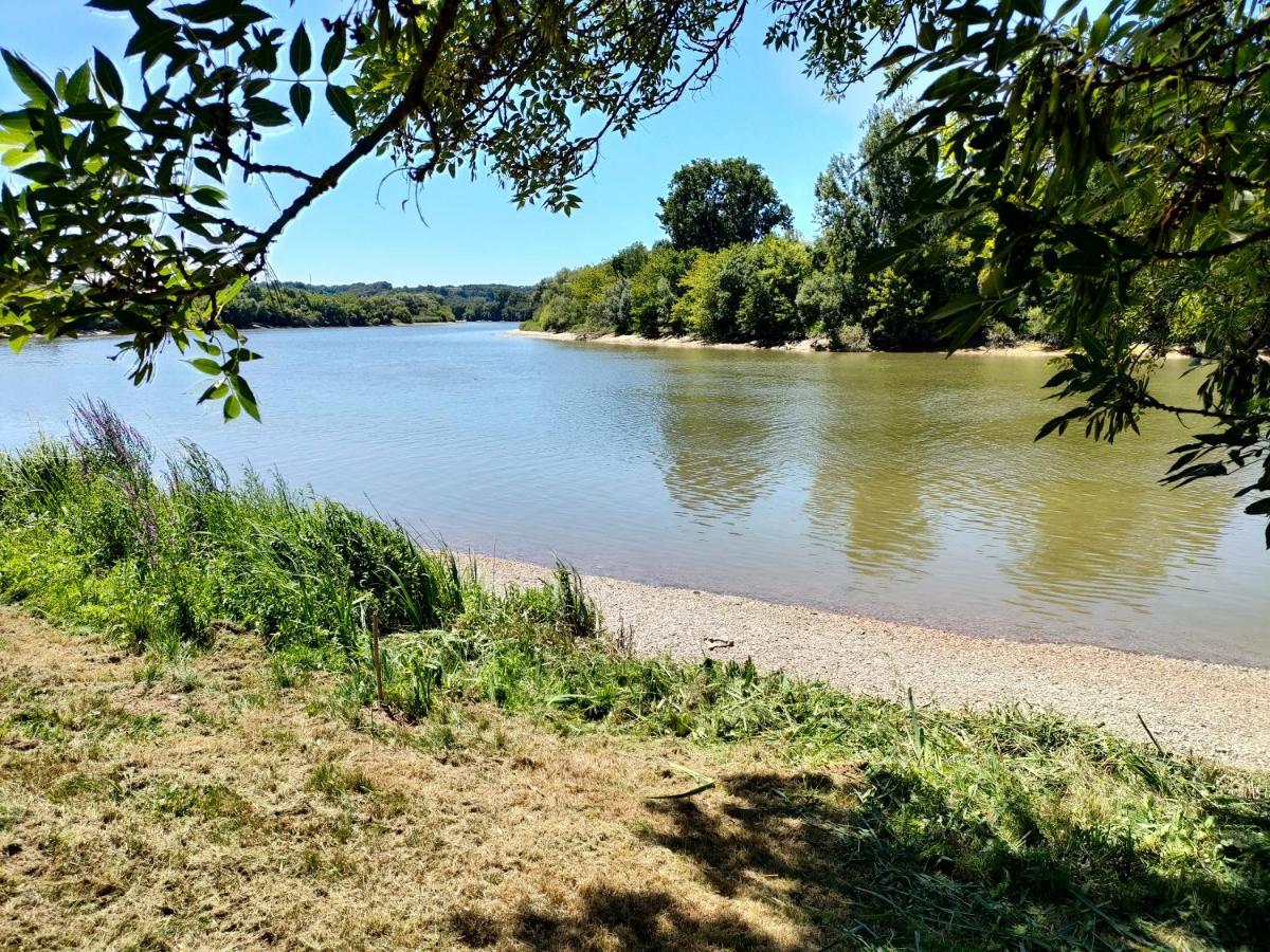 מלון Sainte-Terre Le Moulin De Merlande Saint Emilion מראה חיצוני תמונה